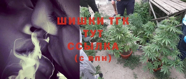 шишки Надым